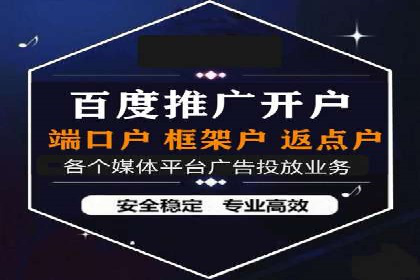 百度竞价代运营公司成功案例揭秘：策略与执行